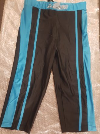 Hengwei gym short ( women)