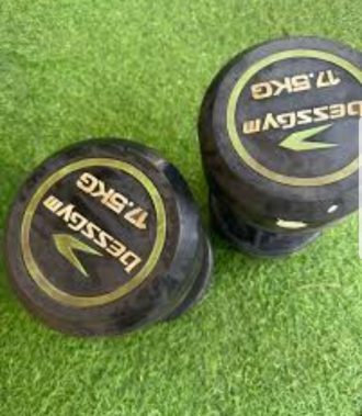 Bess gym dumbell 20kg