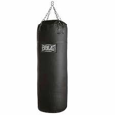 Boxing punching bag (everlast)