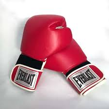 Everlast & superhit boxing glove